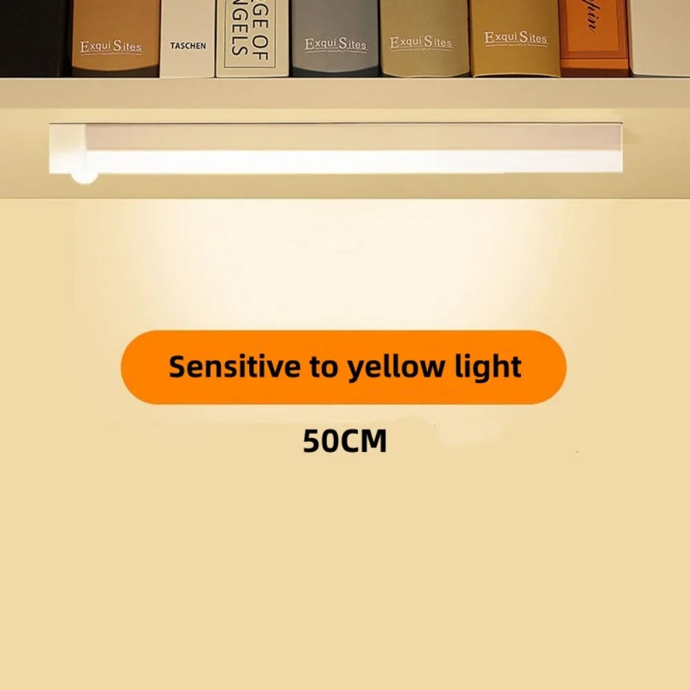 Wireless LED Night Light Motion Sensor Light Closet Night Lamp For Kitchen Bedroom Detector Light Cabinet Staircase Backlight